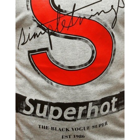 Pánske sivé tričko s krátkym rukávom RX3797