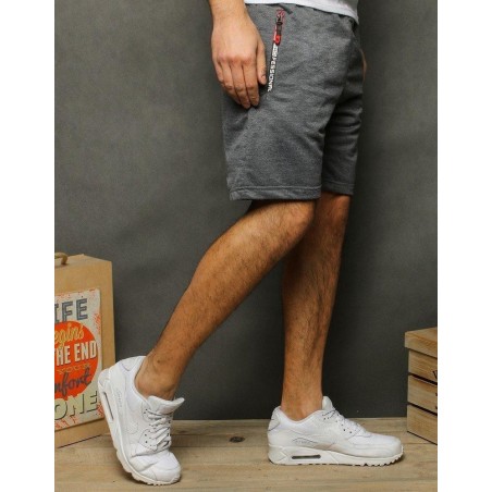 Pánske teplákové kraťasy SX2004 - svetlosivé