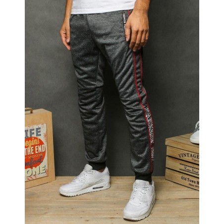 Pánske sivé tepláky UX2687